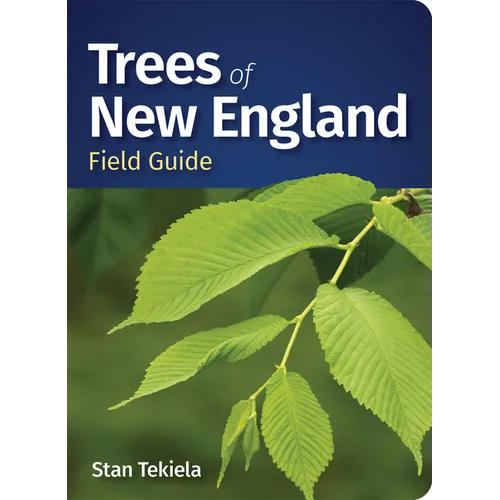 Trees of New England Field Guide