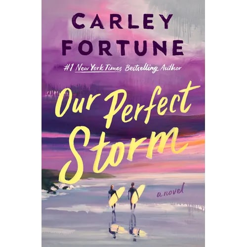 Our Perfect Storm